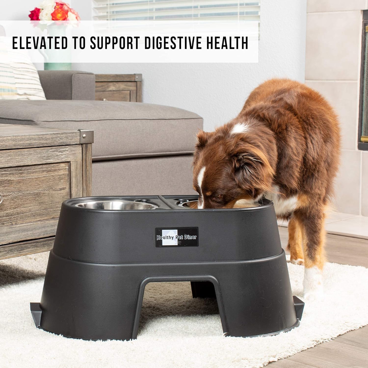 OurPets Comfort Diner Elevated Dog Food Dish (Bowls Available in 4