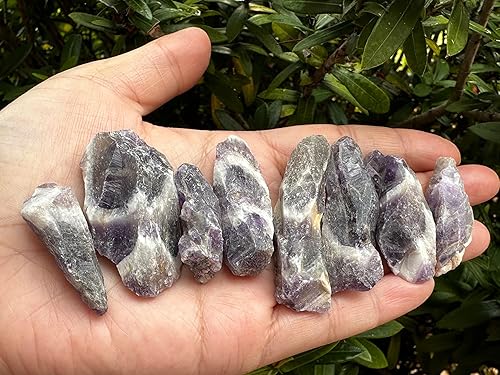 Vista 185 de GAF TREASURES Cristales de rosa del desierto crudos al por mayor, piedra natural de rosa del desierto, cristales naturales de rosa del desierto