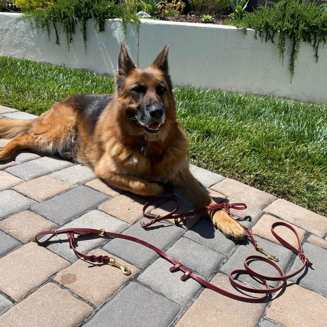 Ravenox Artisan Leather Dog Training Halter & Leash | Premium No-Pull Solution for Effective, Calm, & Comfortable Training | Black & Burgundy Options