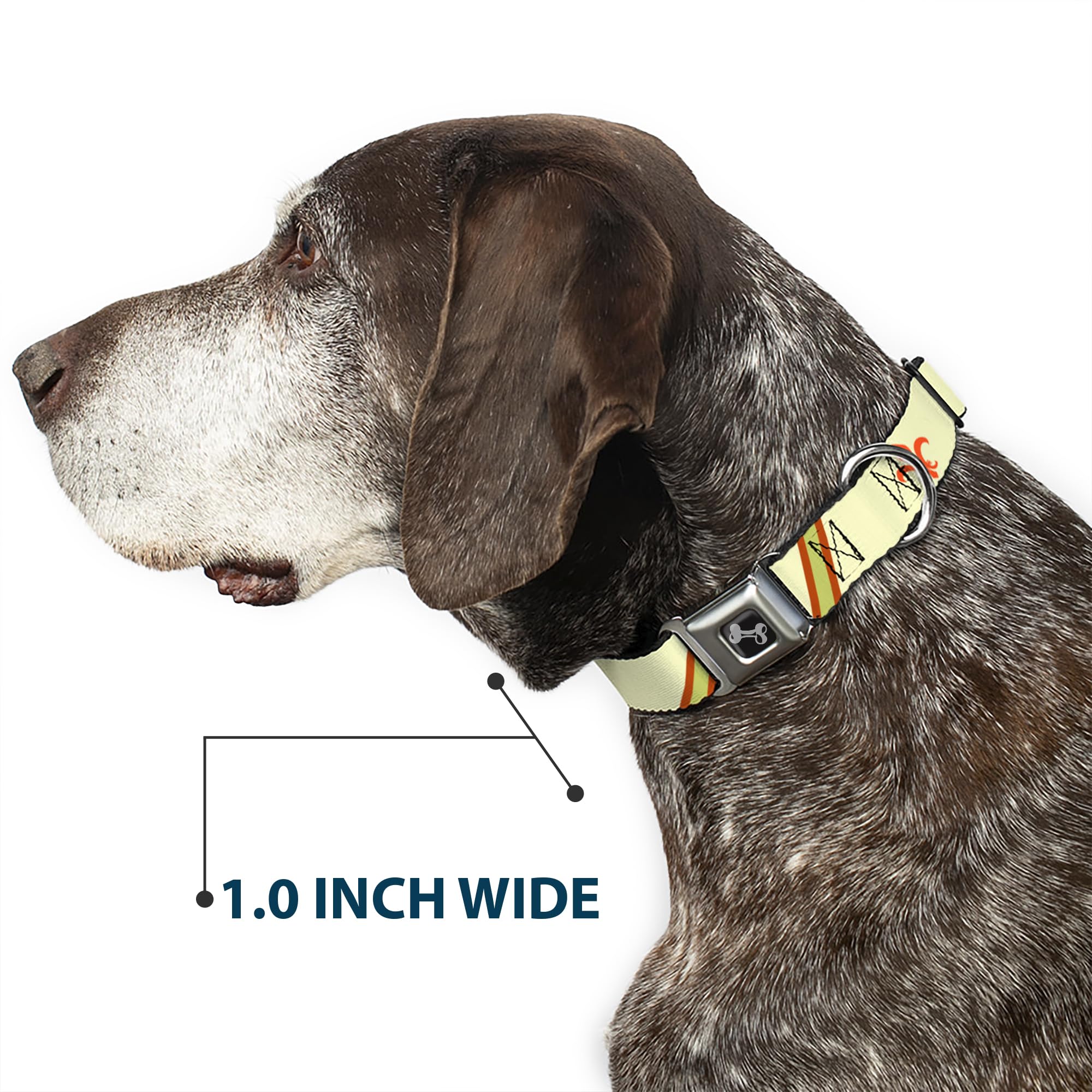 Buckle-Down DC-W30635-WL - Cinturón de Seguridad para Perro, Talla L, diseño de Rayas, Color marrón, Naranja y Verde