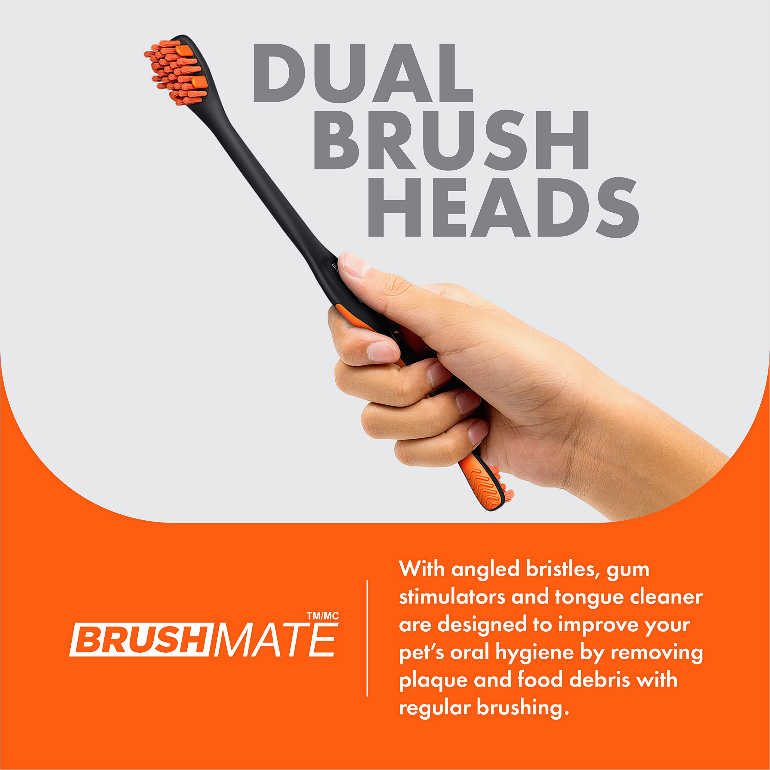 BrushMate Paquete combinado de cepillo de dientes para mascotas y BiteBlock para perros y gatos (mediano, naranja)