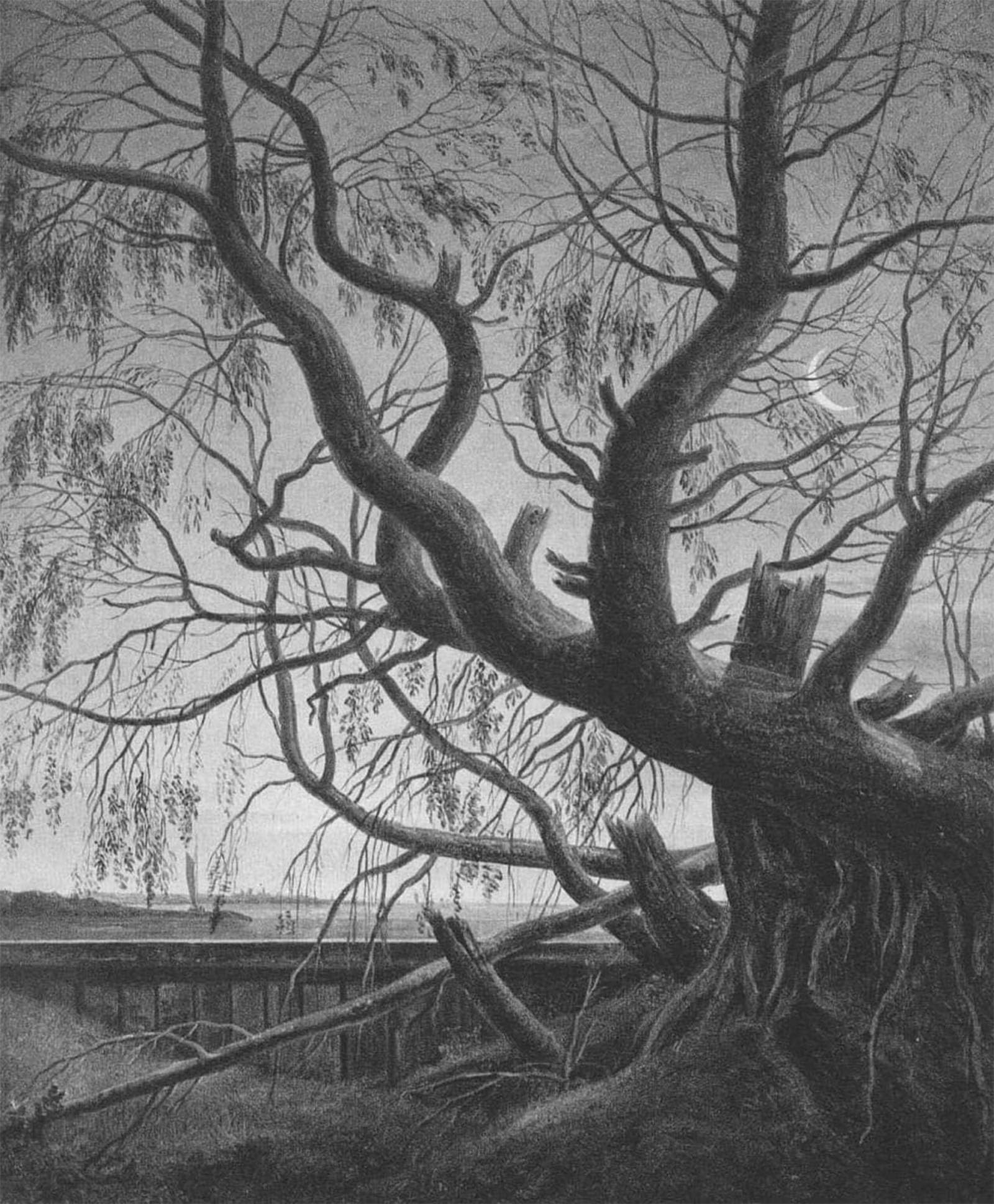 SERENDIPITP Vintage Picture Print on Canvas Wall Art Poster Pasture in the moonlight by Caspar David Friedrich Artwork Print Poster for Wall Decor 60x90cm
