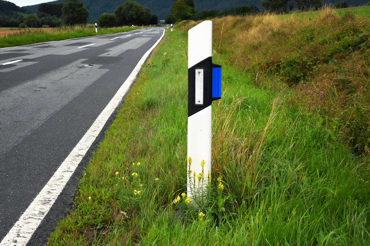 Wildwarner blau - Wildwarnreflektoren halbrund mit stark reflektierender Folie von 3M Serie 4095 - zur Reduzierung von Wildunfällen (10x)