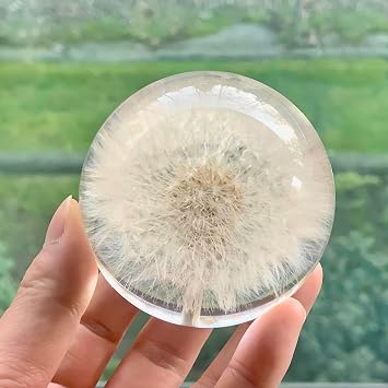 Real Dandelion Paperweight - Home Decor Crystal Resin Ball 2.75in 70mm, Clear Resin Dandelion Flower Globe for Special Days, Sphere Figurine Office Paperweight w/Flat Bottom