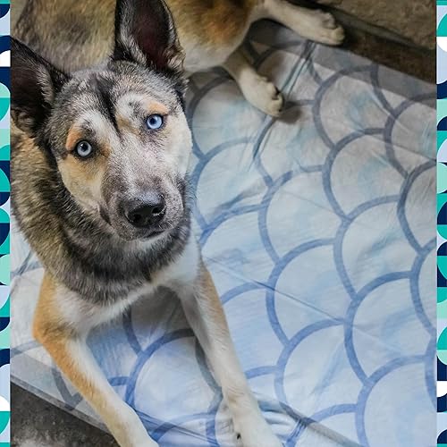 Miniatura 6 de Smart Prints XXL - Almohadillas para cachorros, almohadillas para perros, almohadillas de entrenamiento, fragancia activada por patas que controla