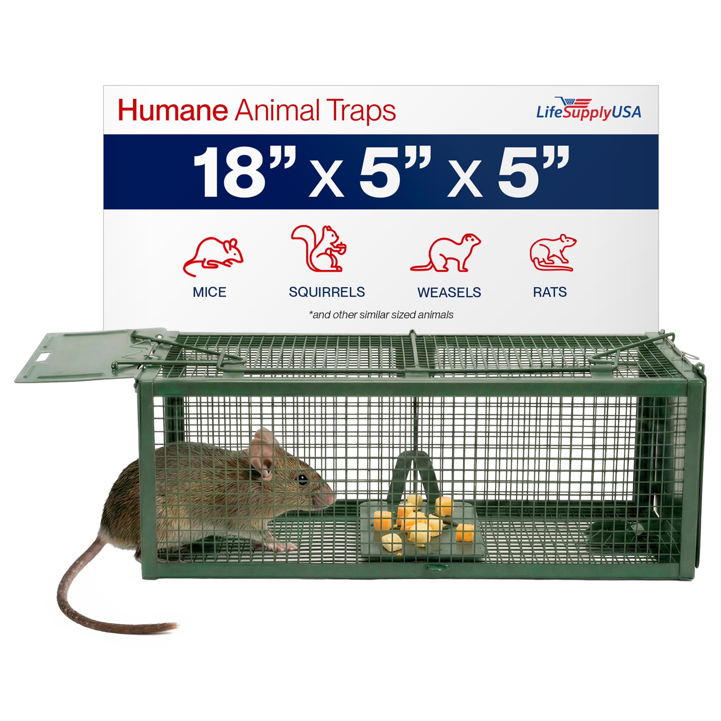 Heavy Duty Live Humane Animal Cage Trap for Catch & Release (Multiple Sizes)