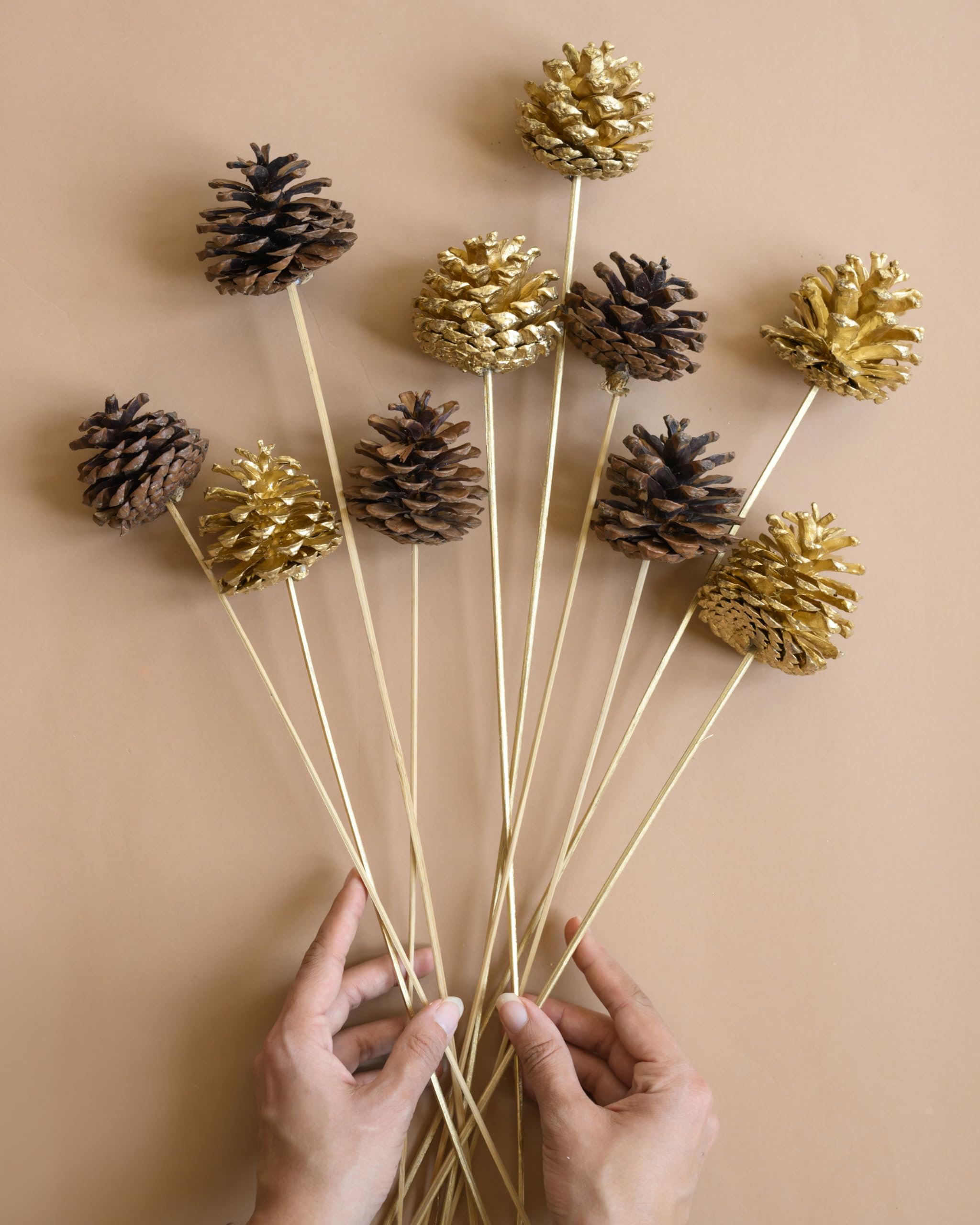 Flowers and Fillers Golden & Brown Pine Cone 10 Sticks |Home Decor and Vase Fillers