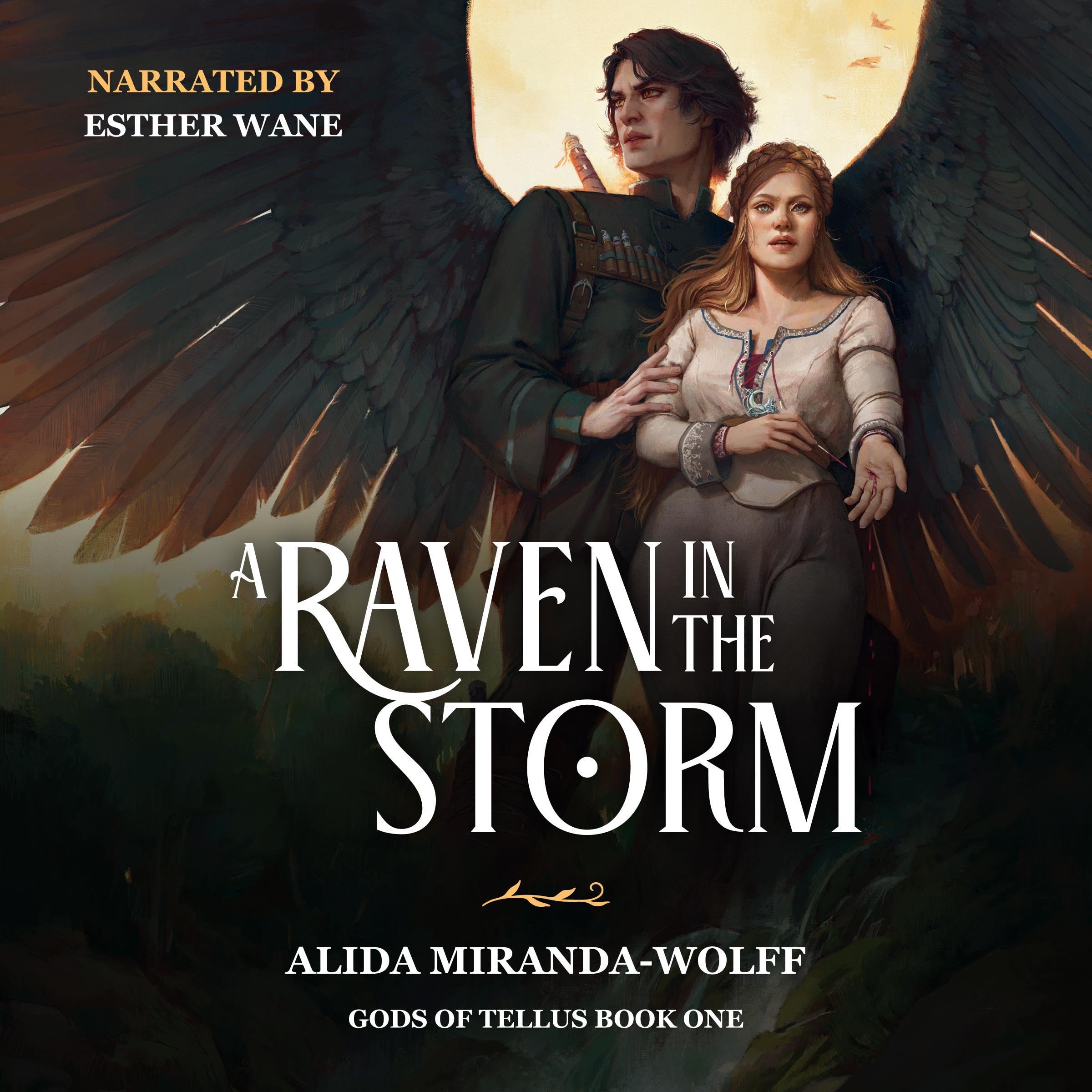 Cover art for A Raven in the Storm
