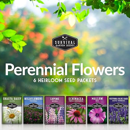 Miniatura 2 de Survival Garden Seeds Colección de flores perennes, margarita Shasta, equinácea, altramuz Russell, malva rosa, salvia azul y mezcla de flores