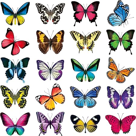 24 Pcs Papillon Fenêtre Autocollants Anti-Collision Fenêtre D'alerte Fenêtre S'accroche Transparent Alerte Oiseau Fenêtre Decal Réfrigérateur Autocollant Porte Stickers Pour