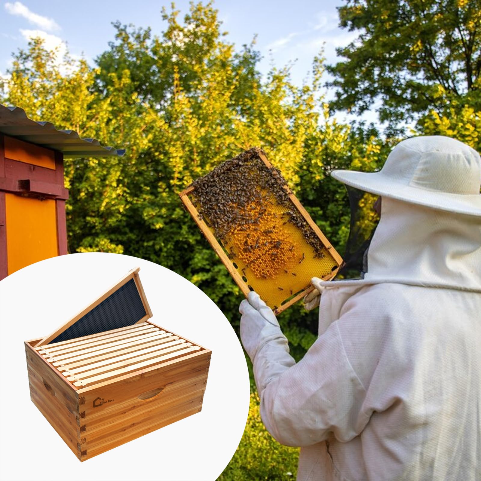 Bienenstock-Starterset mit 10 Rahmen Deep Brood Box, Aus Massivem Zedernholz Mit Gewachstem Fundament, Kompatibel mit Langstroth-Standard – Nachhaltiger Imkereibedarf für Sofortige Akzeptanz-A
