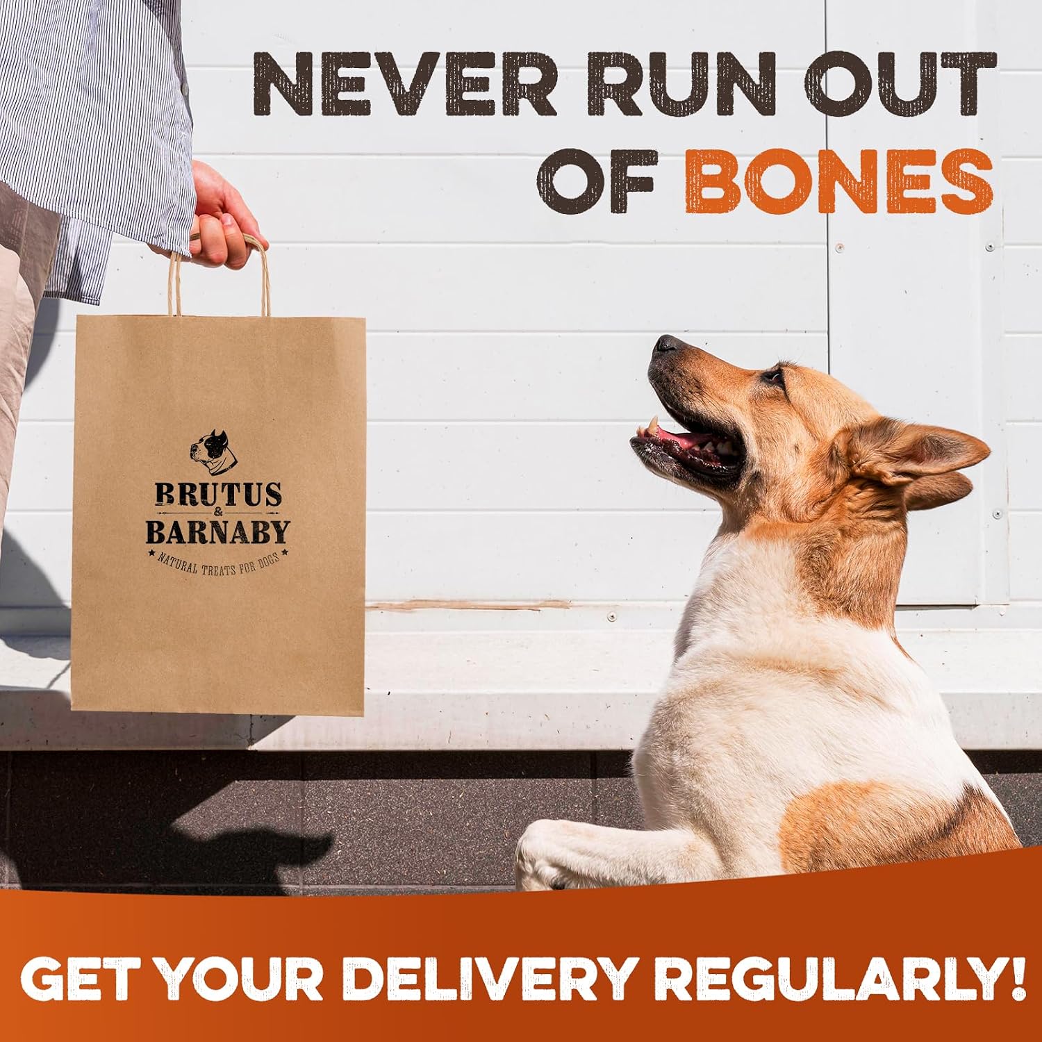 BRUTUS & BARNABY Beef Liver Coated Shin Bones for Dogs (2 Count) - Long Lasting Dog Chew Bones for Aggressive Chewers, Natural Beef Shank Marrow Bones, Rawhide Free Large Dog Bone Treats