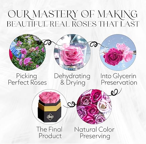 Miniatura 9 de GLAMOUR BOUTIQUE 7-Piece Forever Pink Rose Box - Preserved Roses in a Box, Immortal Roses in a Box That Last A Year - Eternal Rose Preserved Flowers