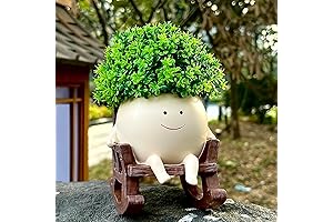 Music Flower Pots: A Symphony for Your Plants