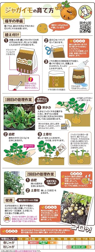 Amazon 花ごころ ジャガイモ収穫キット ゴロゴロ村 用土