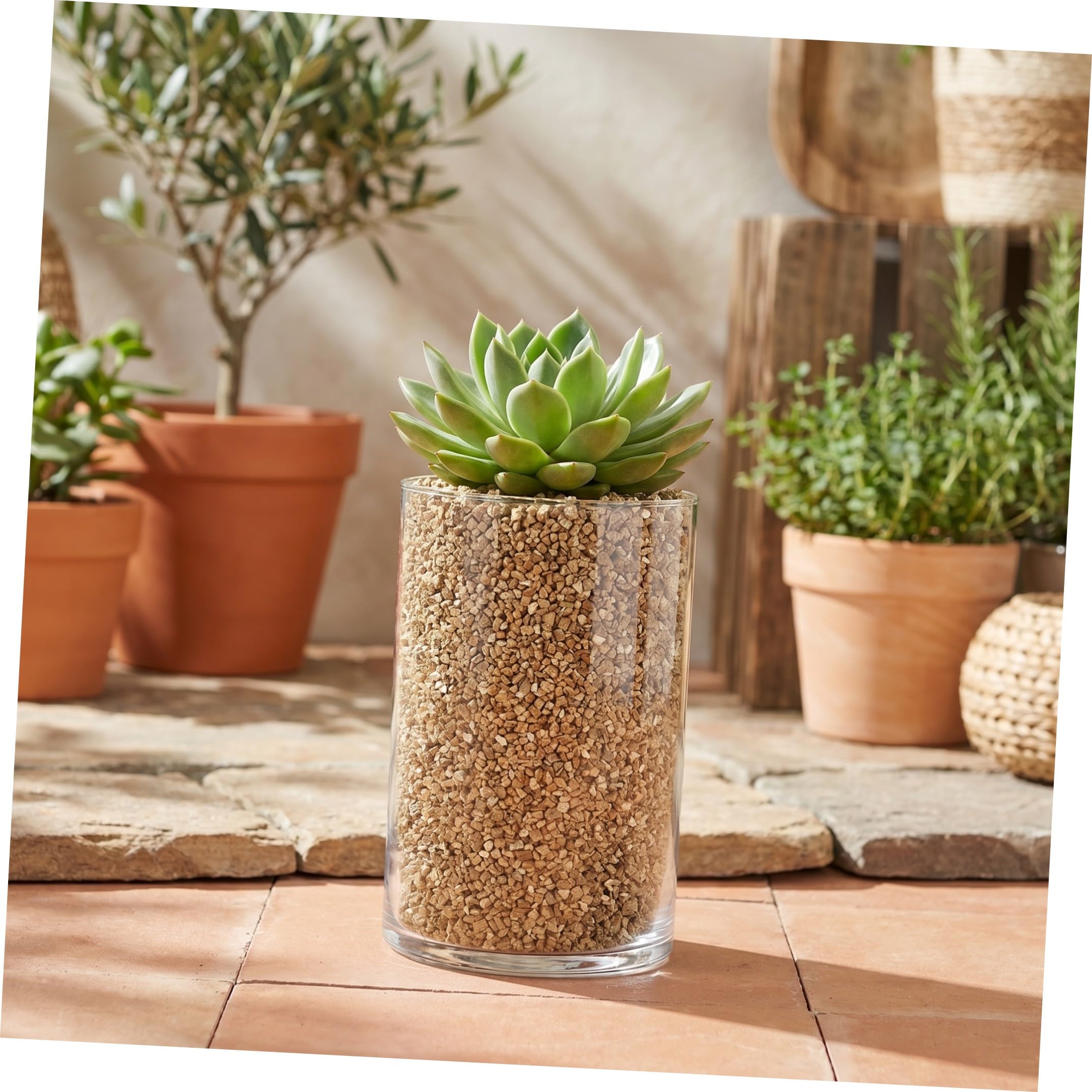 Granuli di Vermiculite per Riempimento Vasi with proprietà Drenanti e Aeranti e Coltivazione di Piante e Funghi per Giardinaggio Interno ed Esterno