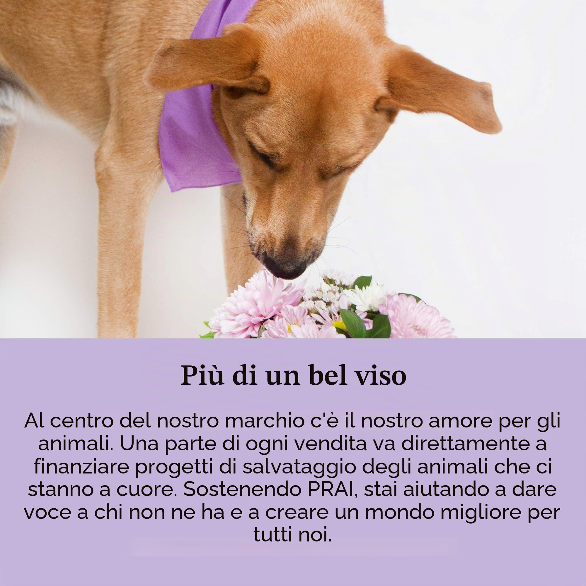 Prai - Siero da giorno per la riparazione delle rughe 24 K, 30 ml