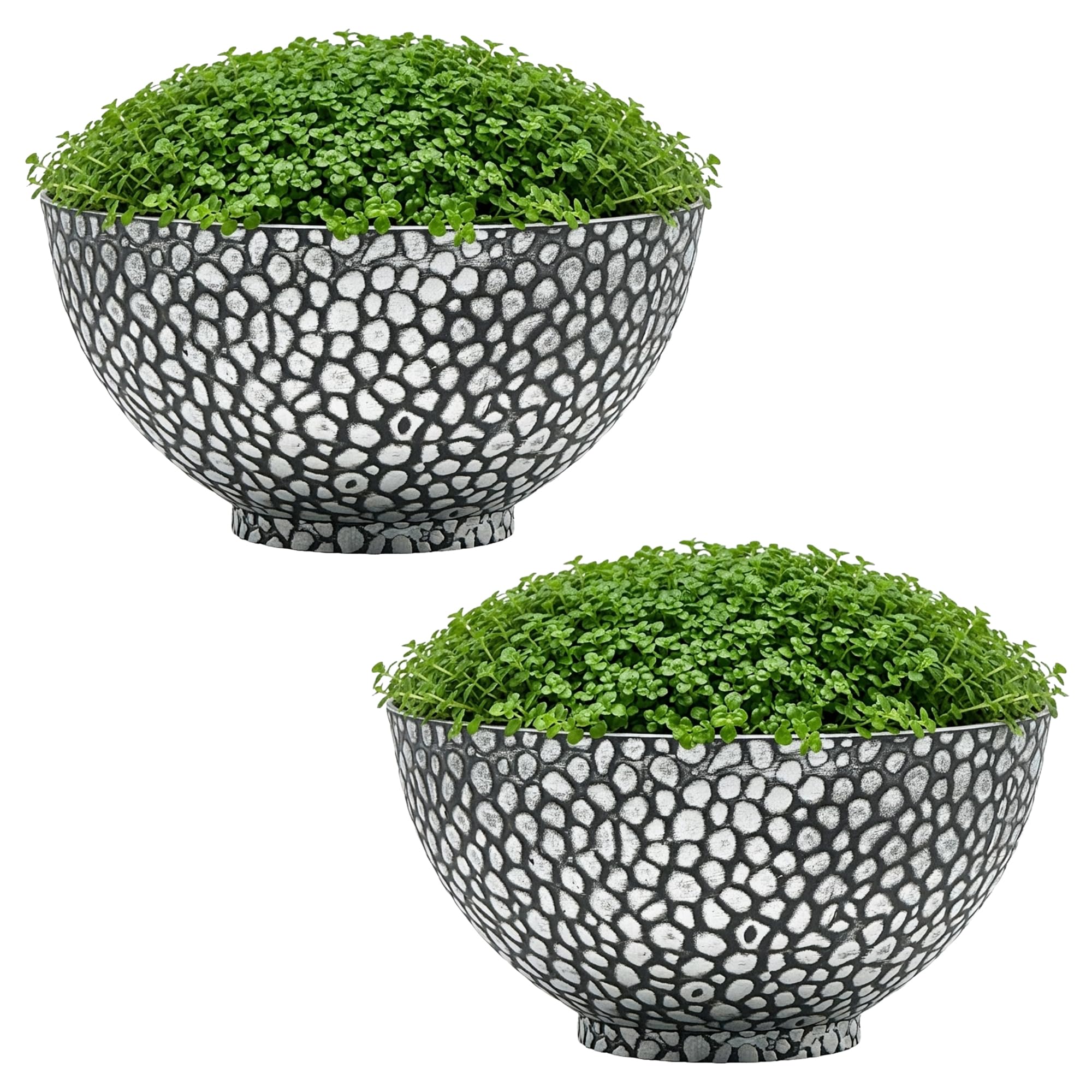 Sg Traders Black Silver Cathay Bowl Plant Pot Large Garden Plant Pots Elegant Design, Garden Planters Outdoor With Drainage Holes, Versatile Flower Pots And Planters
