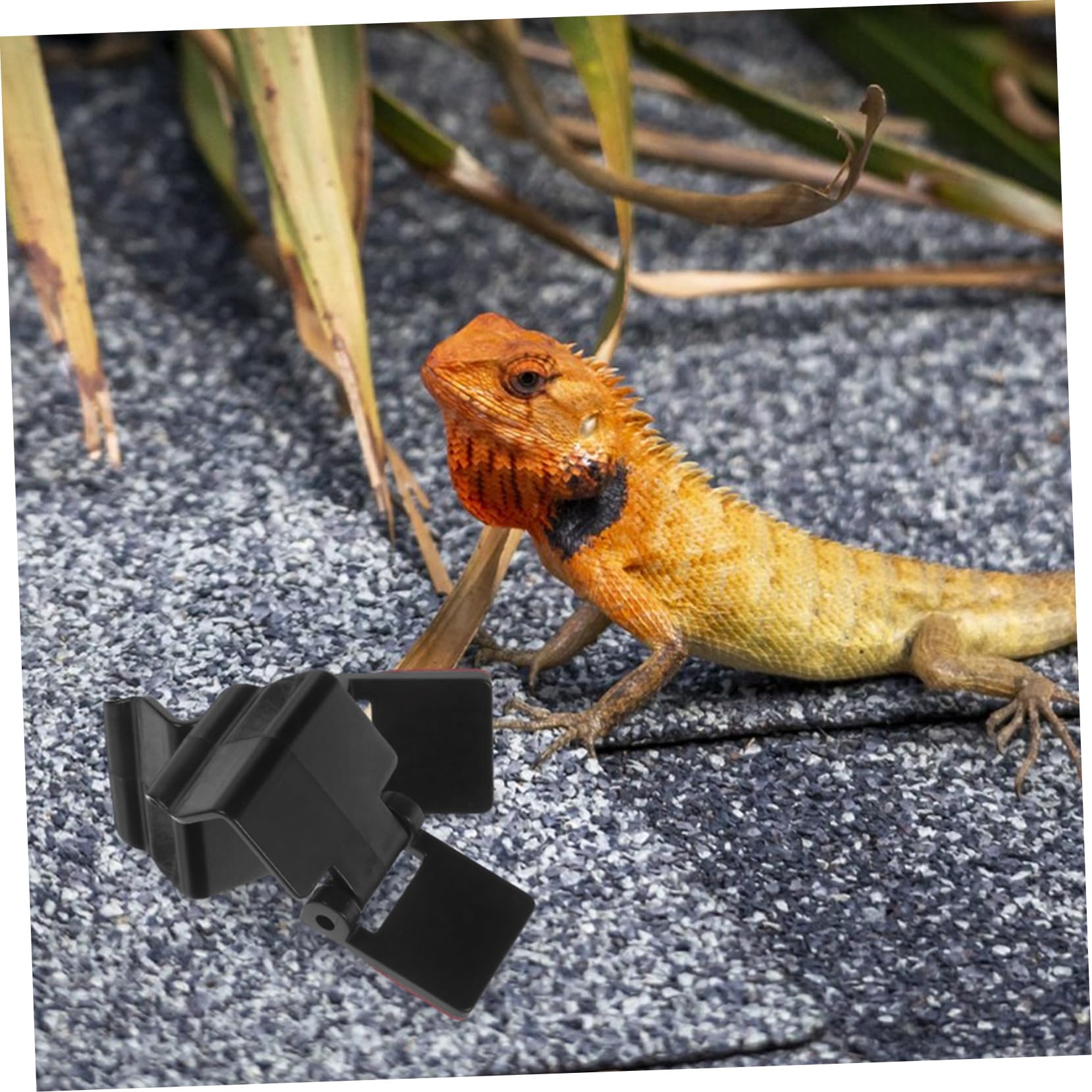 Clips de Verrouillage Faciles à Utiliser Lot de 6 en Abs Design Multifonctionnel pour Sécuriser Enclos pour Terrarium à Reptiles et Amphibiens