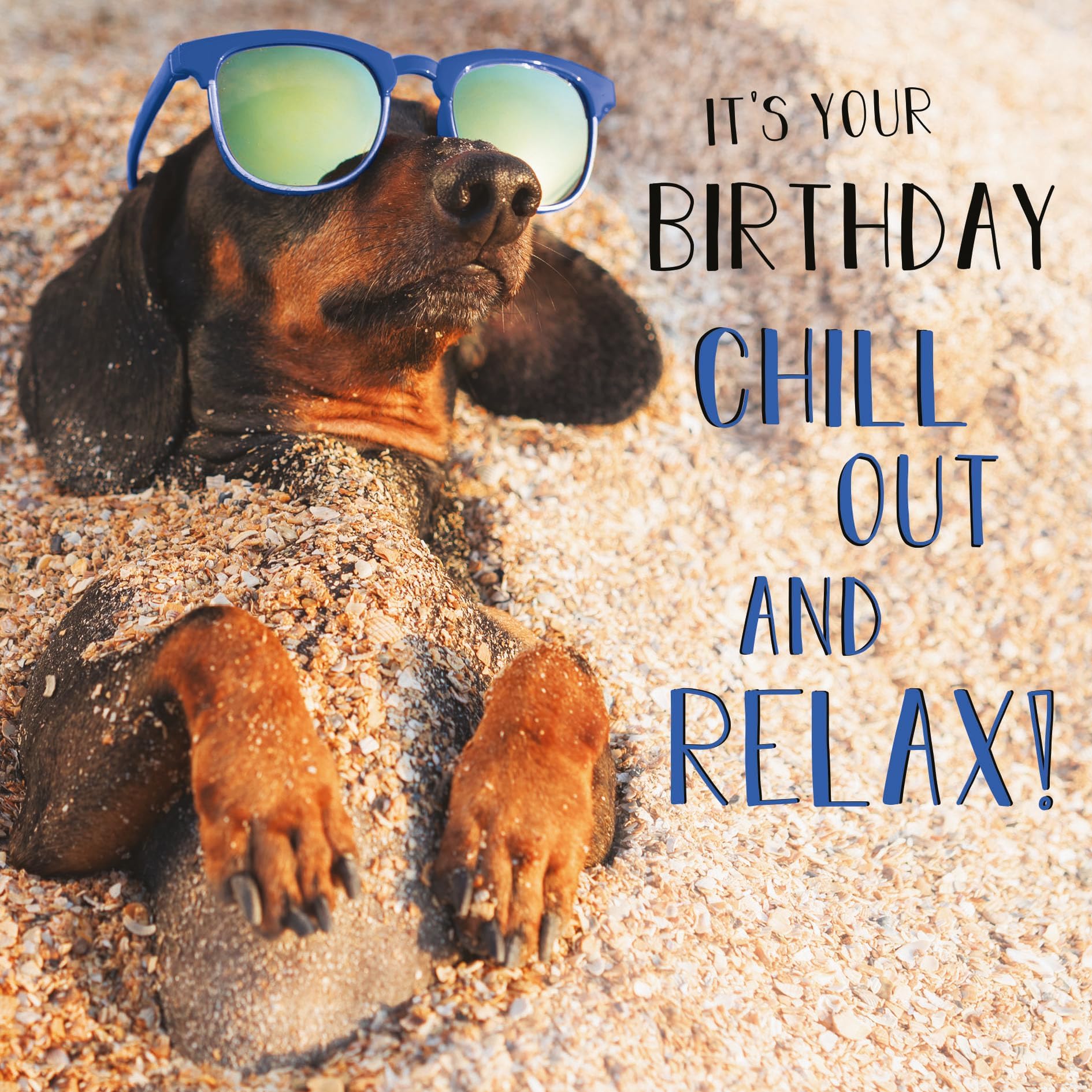 Abacus Male/Female Birthday Card - General Funny Card for Men/Women - 'Chill Out and Relax' Dachshund Dog on Beach - Eco-Friendly & Recyclable - Made in the UK Cards