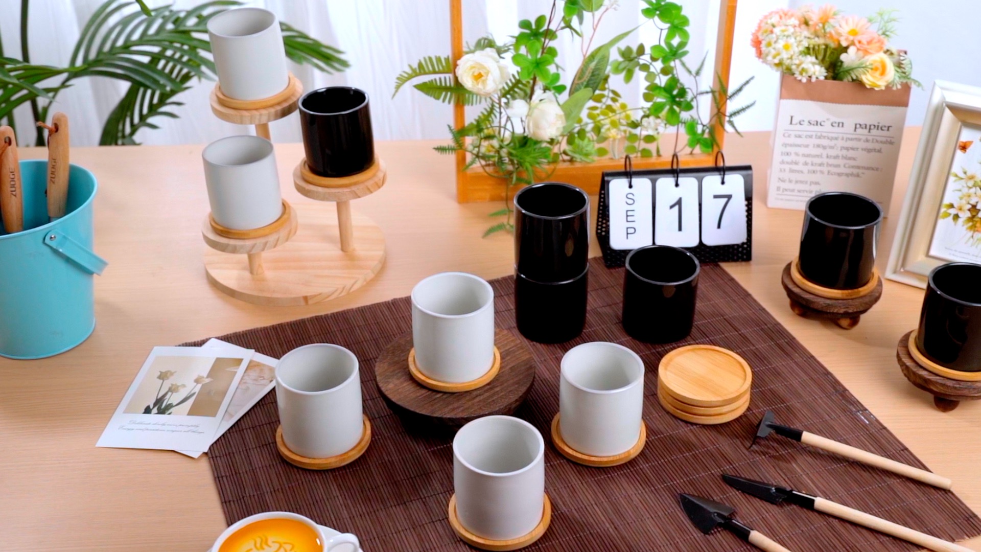 Amazon.com: Cindeer 12 Pack Small Succulent Plants Pots 3 Inch