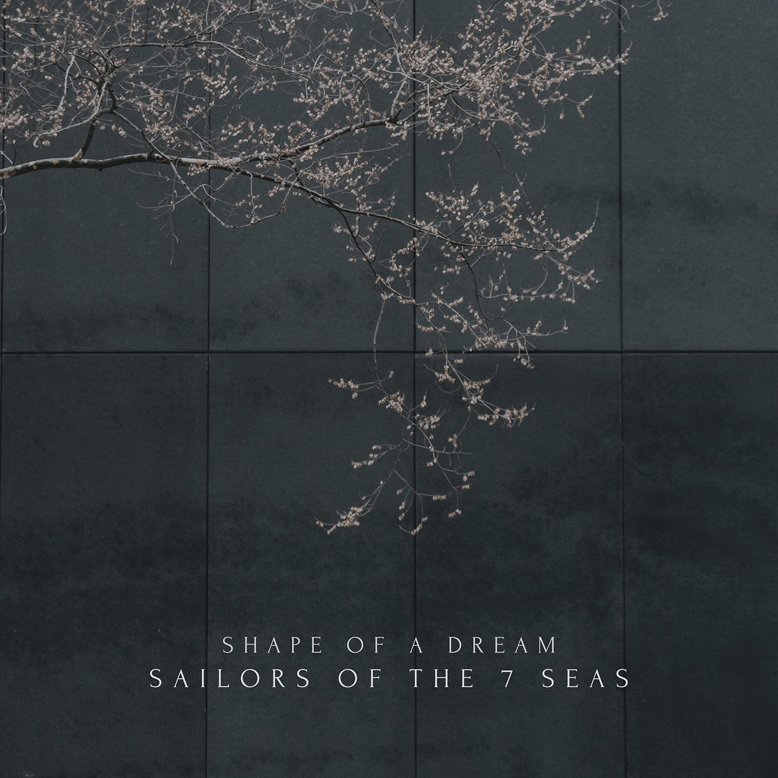 Sailors Of The 7 Seas