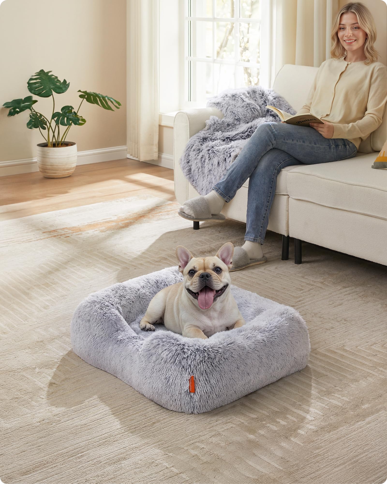 Feandrea Cuccia per Cani, Divano per Cani, 71 x 55 x 18 cm, Cuscino per Animali, Imbottitura Morbida Bordi Rialzati, Copertura Sfoderabile e Lavabile in Lavatrice, Antiscivolo, Grigio Ombré PGW271G01