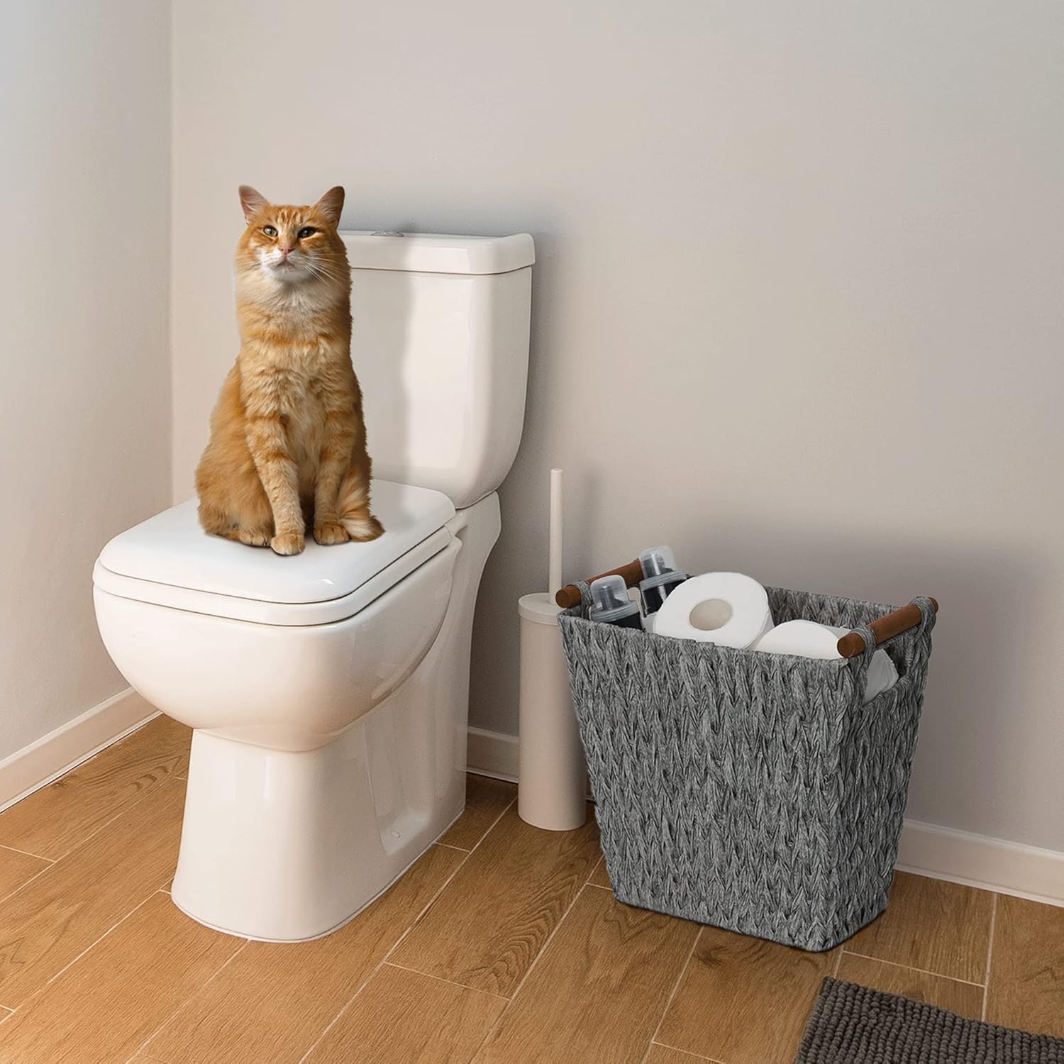 GRANNY SAYS Bundle of 1-Pack Toilet Paper Storage Basket & 1-Pack Wicker Bathroom Wastebasket