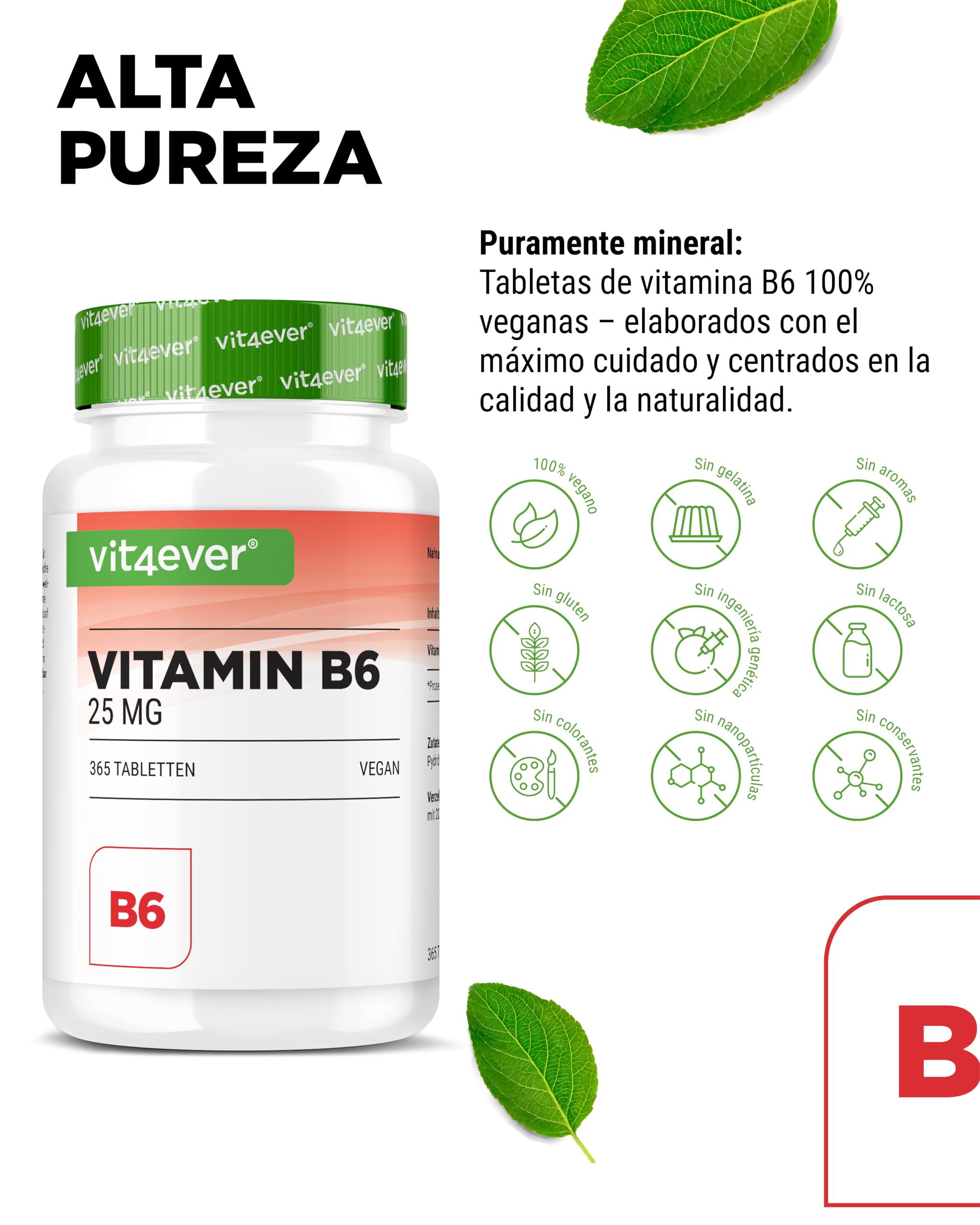 vit4ever Vitamina B6 en Forma de P-5-P - 365 Comprimidos - Alta Dosificación con 25 mg (Piridoxal-5-Fosfato) - Premium: Vitamina B6 Bioactiva - Sin Aditivos no deseados - Vegano