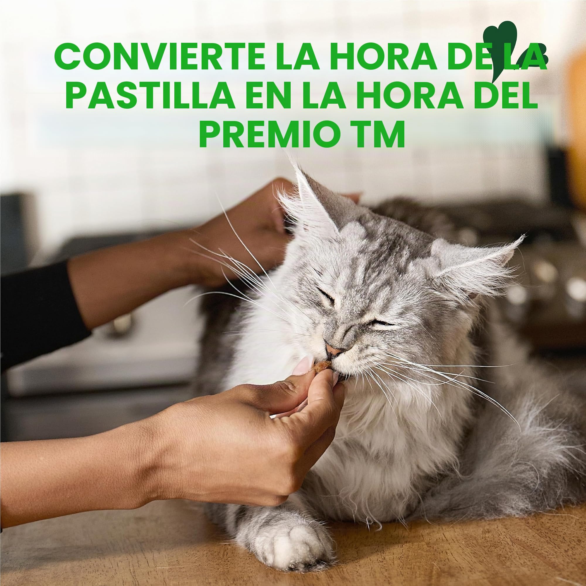 Greenies Cat Chicken Flavor, 1.6 Oz. Pack Treats Feline Pill Pockets Gatos, Sabor a Pollo, Paquete de 1.6 onzas golosinas, 45 g (Pack of 1)