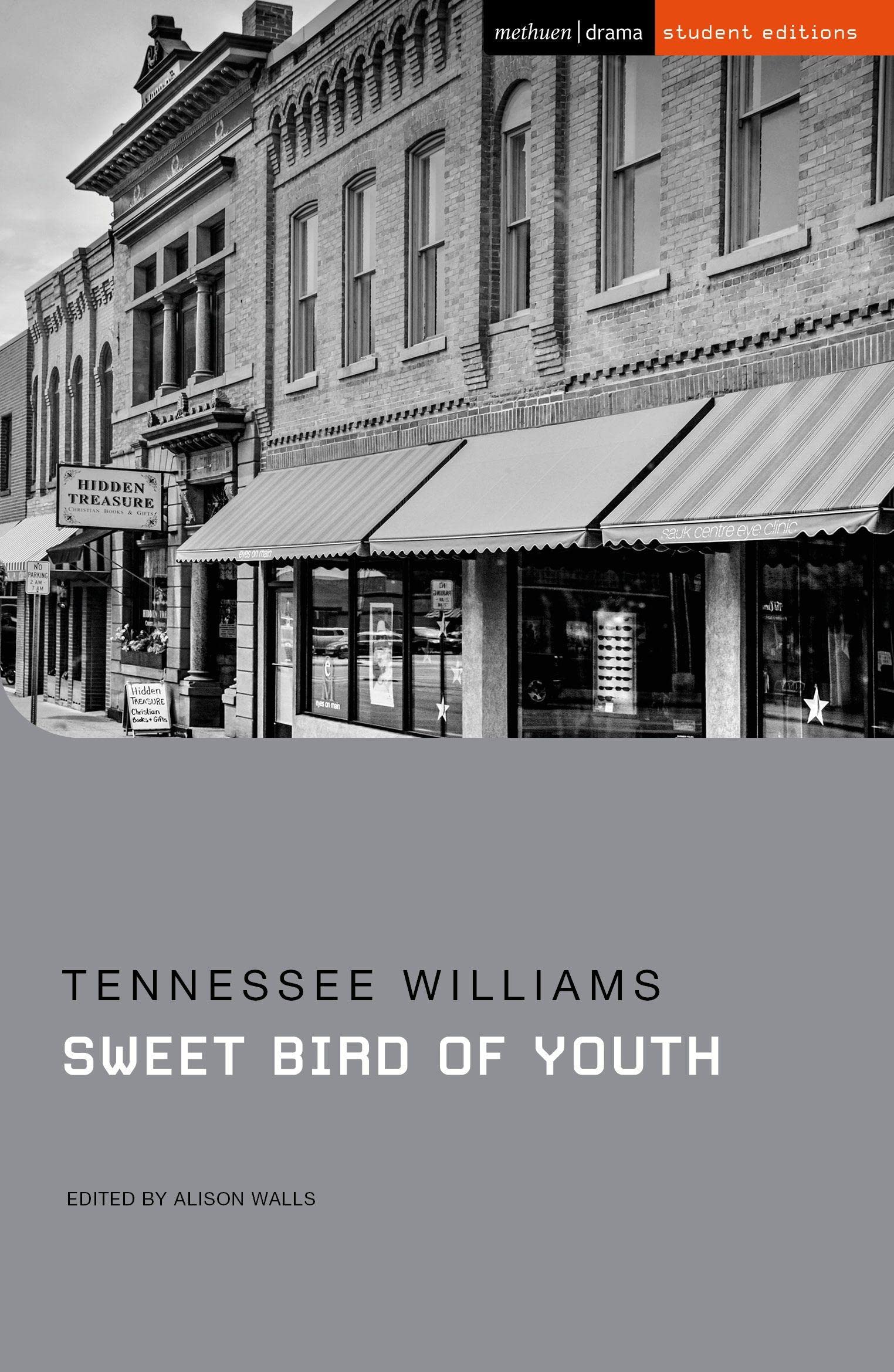 Sweet Bird of Youth by Tennessee Williams, Alison Walls - 9781350238022