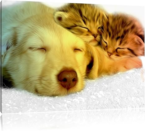 Chiot Mignon Blottit Avec Adorable Chaton Noir Blanc Taille 60x40 Sur Toile Enorme Xxl Photos Completement Encadree Avec Civiere Art Impression Sur Murale Avec Cadre Moins Cher Que La Peinture Ou