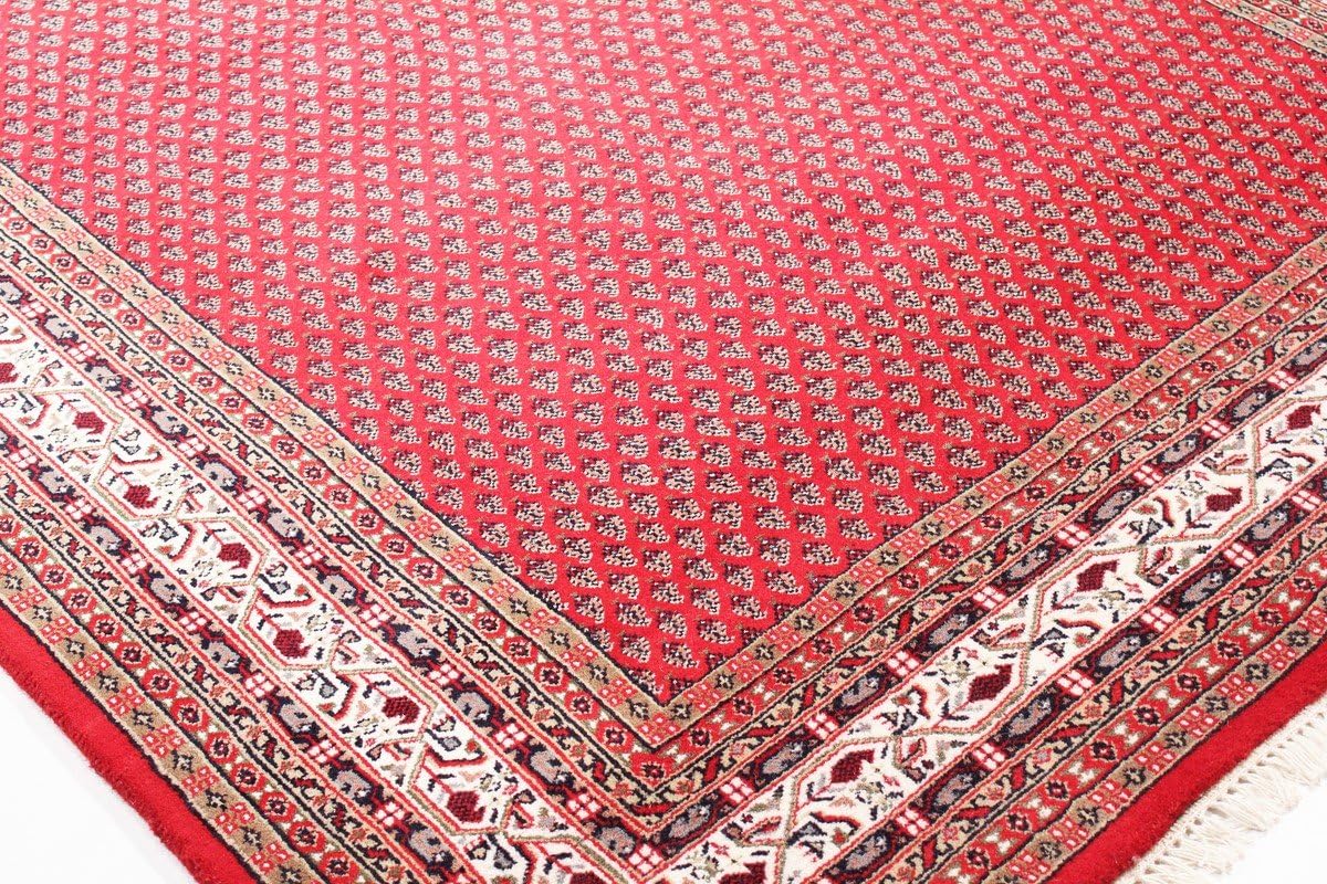 Top-Angebot: Indo Sarough Mir 300x200 Oriental Rug Hand-Knotted Carpet Red/Rust Indien Design Modern 14 Handgeknüpfte Perserteppiche & Orientteppiche Wien (Österreich) | Hamburg (Deutschland) | New York | Los Angeles (USA), gratis Versand Europaweit nach Frankreich, Italien, Schweiz, Niederlande, Spanien, Schweden, Belgien, Österreich, Norwegen, Dänemark, Polen, Irland, Finnland, Portugal, Tschechien, Griechenland, Ungarn, Rumänien 81fFPYOImFL. AC SL1200 Handgeknüpfte Perserteppiche & Orientteppiche Wien (Österreich) | Hamburg (Deutschland) | New York | Los Angeles (USA), gratis Versand Europaweit nach Frankreich, Italien, Schweiz, Niederlande, Spanien, Schweden, Belgien, Österreich, Norwegen, Dänemark, Polen, Irland, Finnland, Portugal, Tschechien, Griechenland, Ungarn, Rumänien