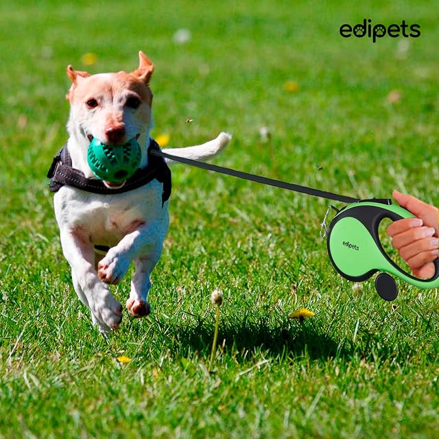 Foto 6 de 6 de Edipets, Correa Perro Extensible, Retráctil, 5 y 8 Metros, Cinta Flexible para Adiestramiento y Paseo