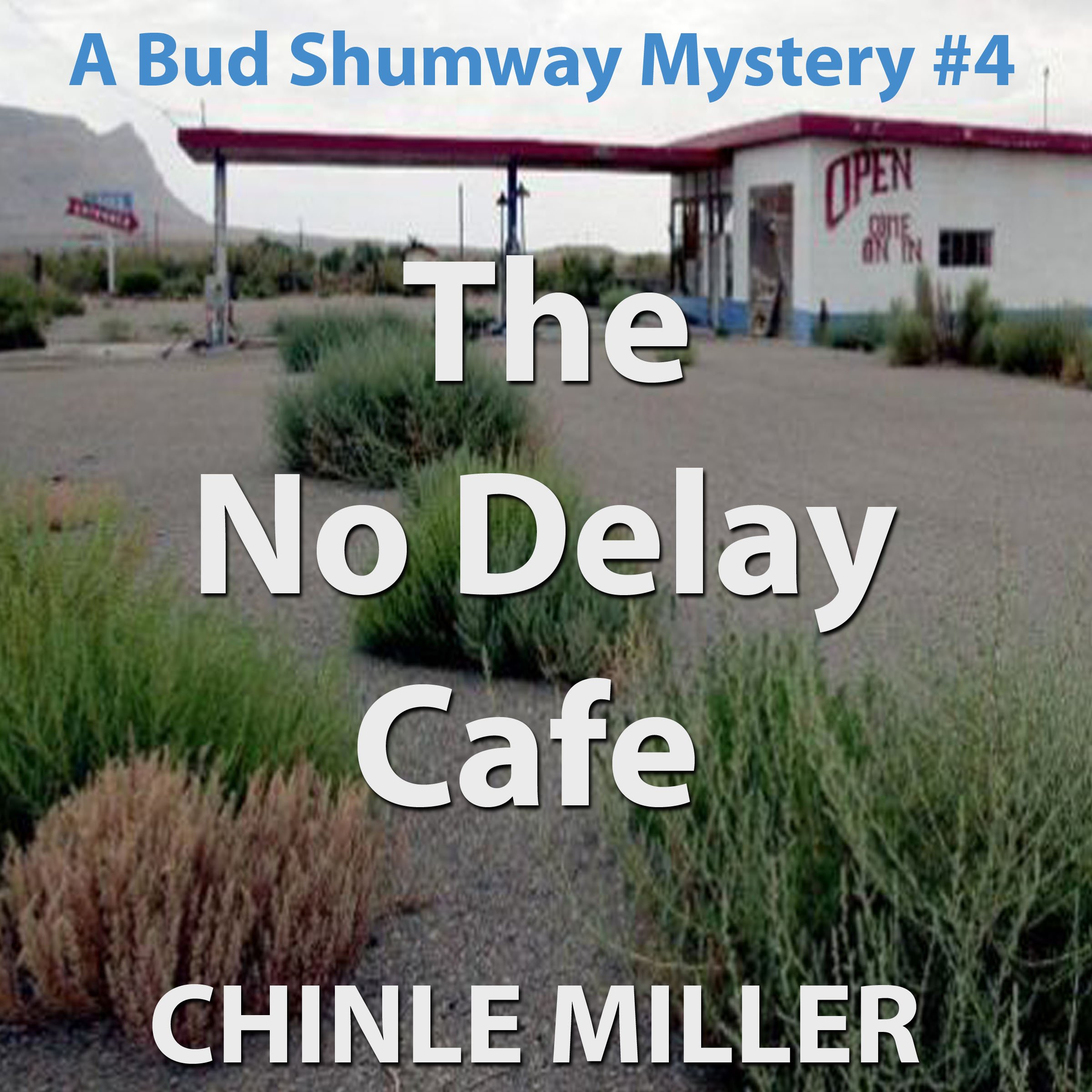 Cover art for The No Delay Cafe