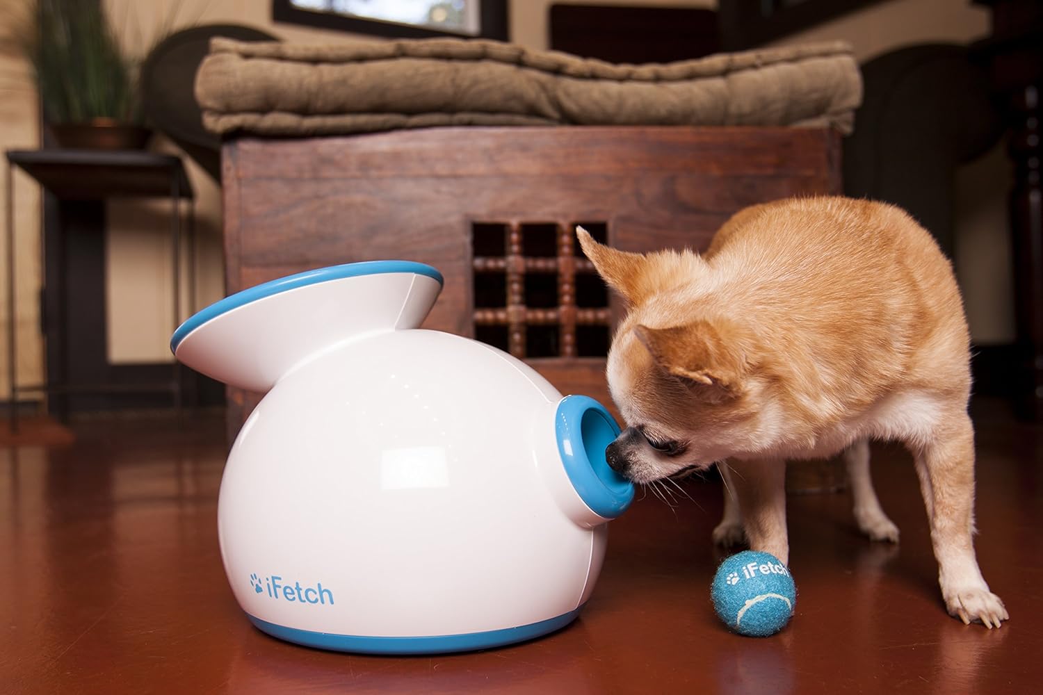 Amazon Ifetch 小型犬 中型犬用 自動キャッチボールおもちゃ ボール3個付 Ifetch ボール 通販