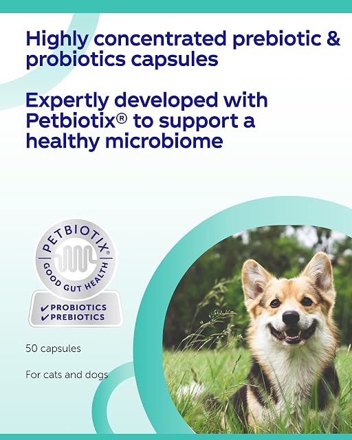 Foto 4 de 7 de Protexin Synbiotic D-C (Pack of 1, 50 Capsules)