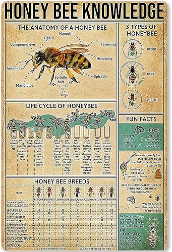 Miniatura 5 de Letrero retro de metal de servicio completo, herramienta de reparación automática en la mano, para garaje, pin up para niñas o hombres, póster