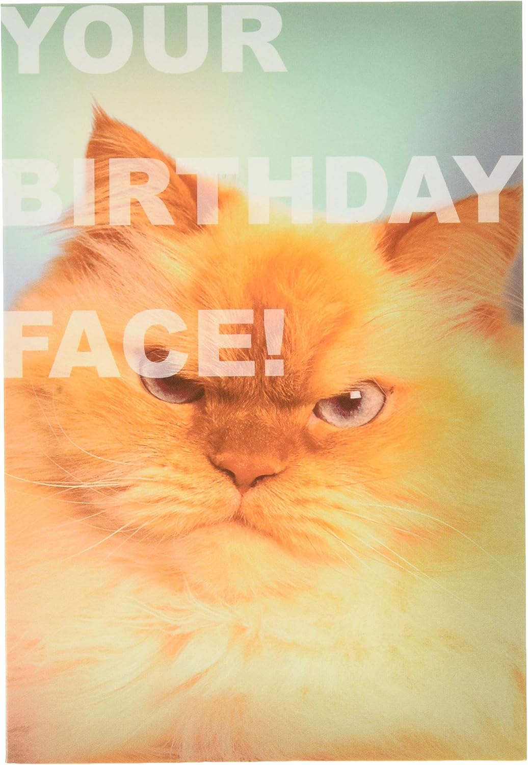 Hallmark Birthday Card - Funny Photographic Smiling Dog Design