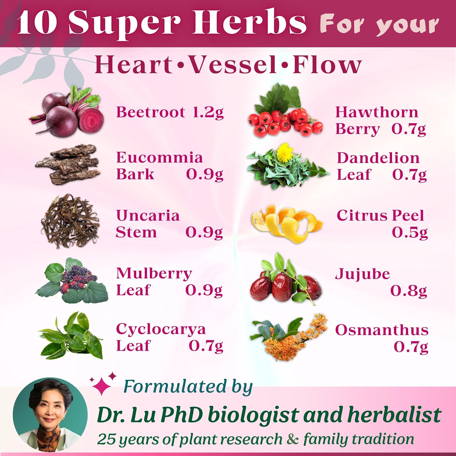 2 Pack of Dr. Lu’s Happy Blood Pressure Tea | 100% Natural Heart Functional Tea for Blood Pressure Support | Beetroot, Hawthorn Berry, Mulberry Leaf, Dandelion 10 Super Herbs in Corn Fiber Pyramid Bags