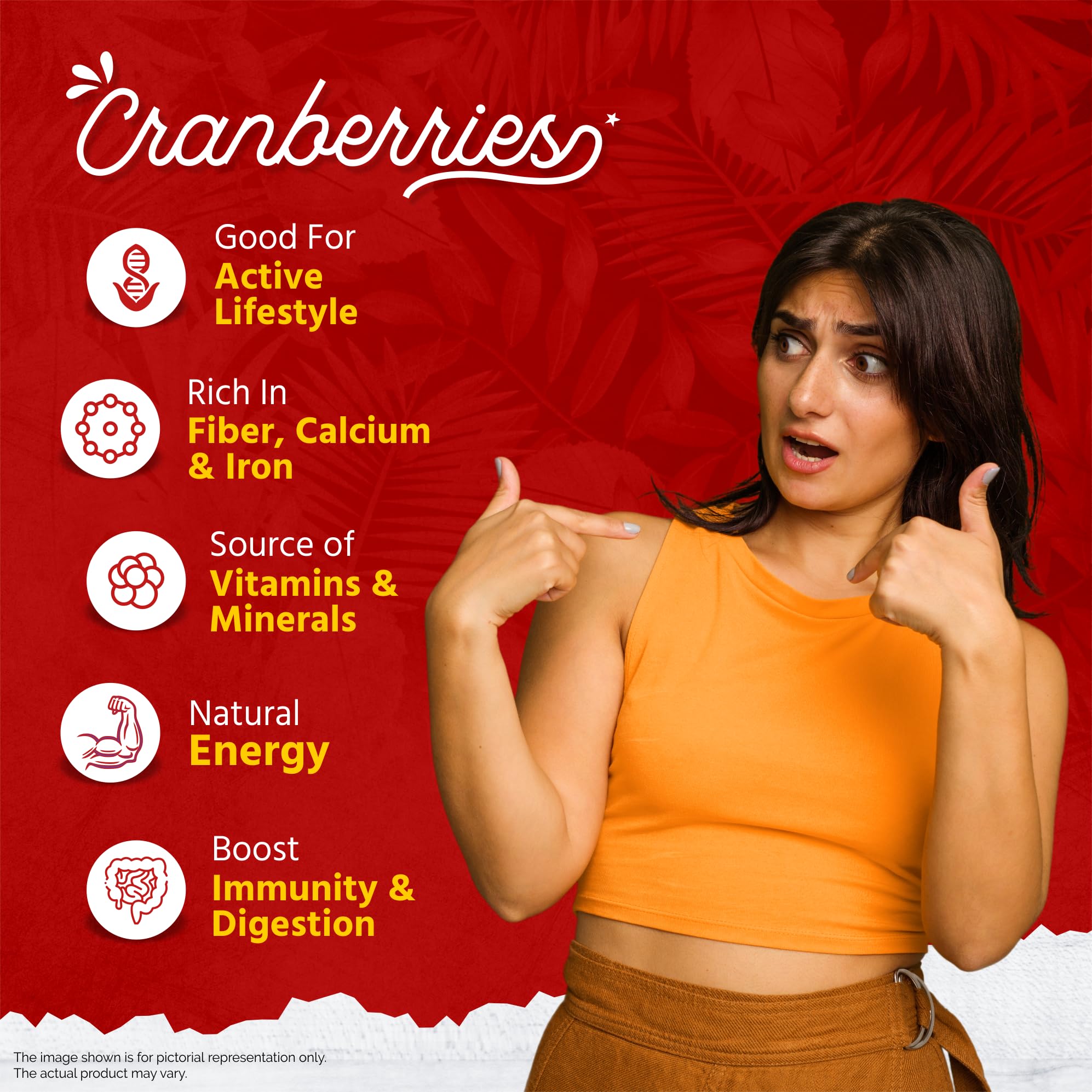GreenFinity Dried Sliced Cranberries 250 Gram - Antioxidant-Rich, Energy-Boosting Healthy Snack Cranberry - Image 7 thumbnail