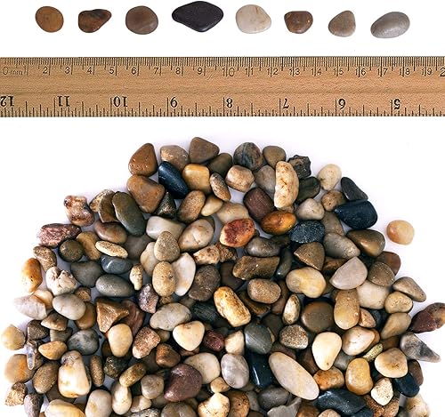 Miniatura 10 de Piedras de río Galashield. Pulidas piedras decorativas, piedra natural, grava de acuario