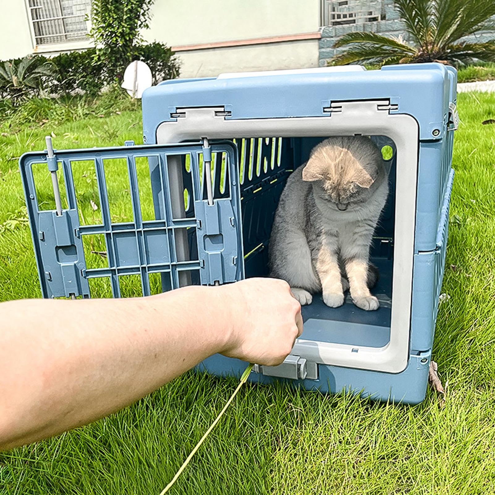 Transporter dla Zwierząt Składana I Przewiewna Walizka Do Przenoszenia | Mały Transporter Dla Kotów Z Rączką Dla Kociąt I Szczeniąt Na Zewnątrz Podróże Samolotem Samochodem Oraz