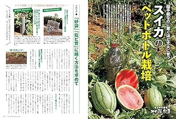 やさい畑　本　１１冊セット 付録付き】やさい畑 初夏号 2025年 6月号 | やさい畑編集部 |本
