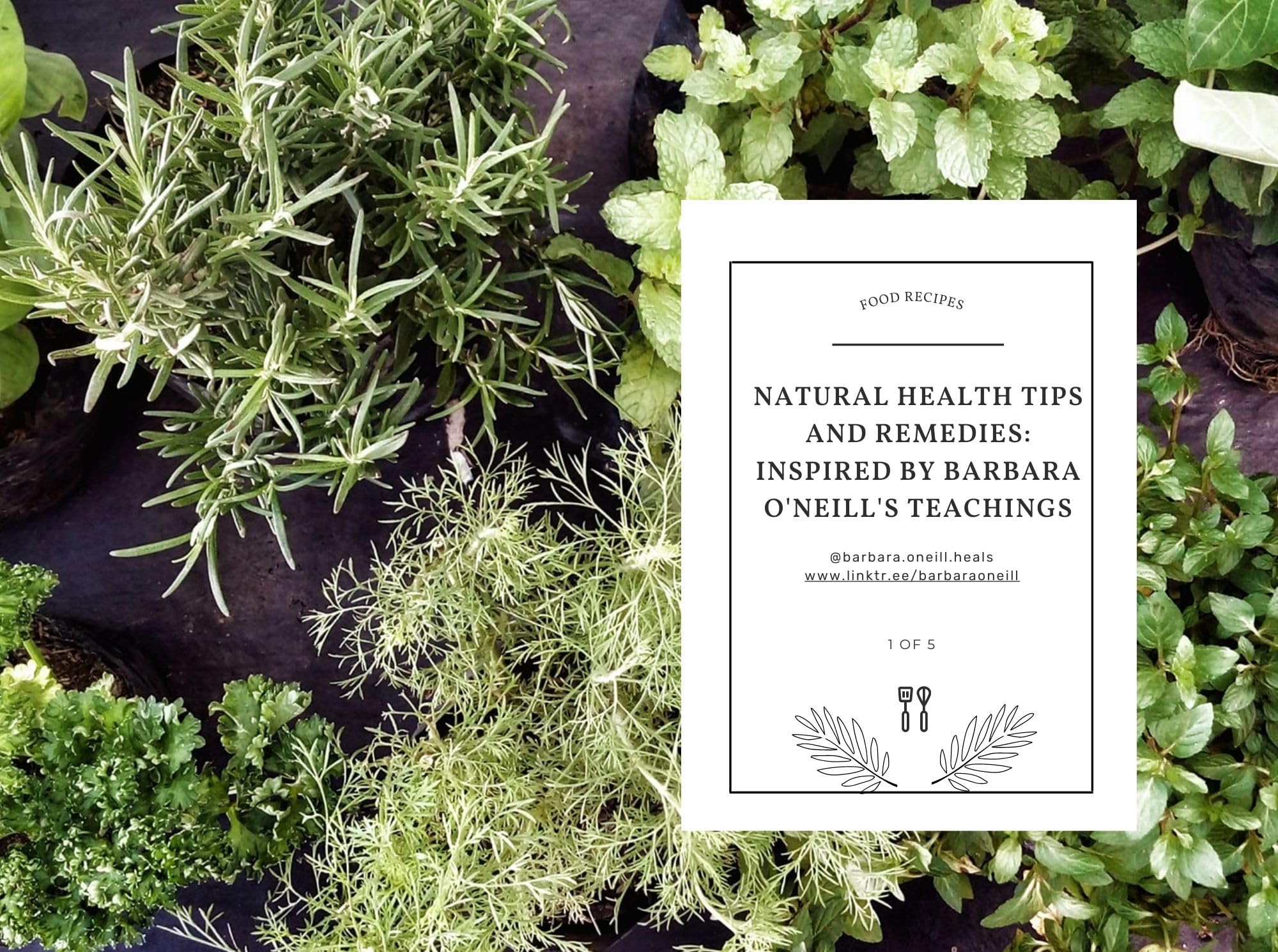 NATURAL HEALTH TIPS AND REMEDIES: INSPIRED BY BARBARA O'NEILL'S TEACHINGS: Healing naturally wellness, diet and abundance