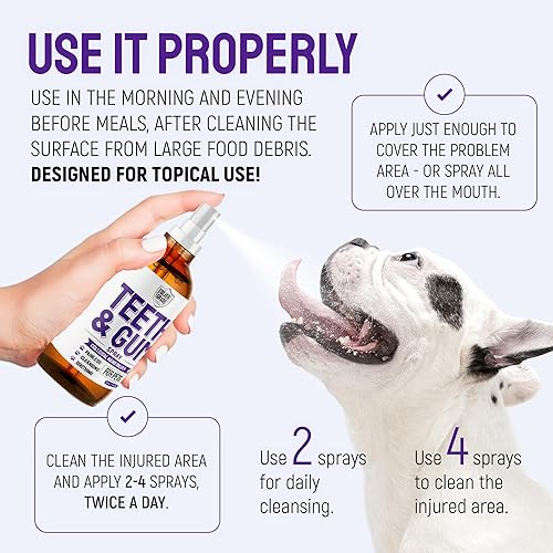 Miniatura 5 de SILVER GRADE Spray para Aliento y Encías de Perros para Boca de Mascotas – Cuidado Dental para Gatos con Plata – Ambientador de Aliento para Perros