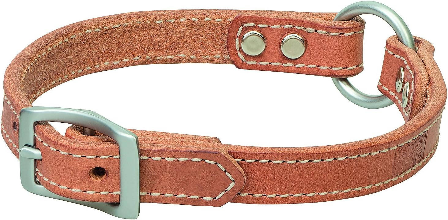 Terrain D.O.G. Bridle Leather Ring-In-Center Dog Collar