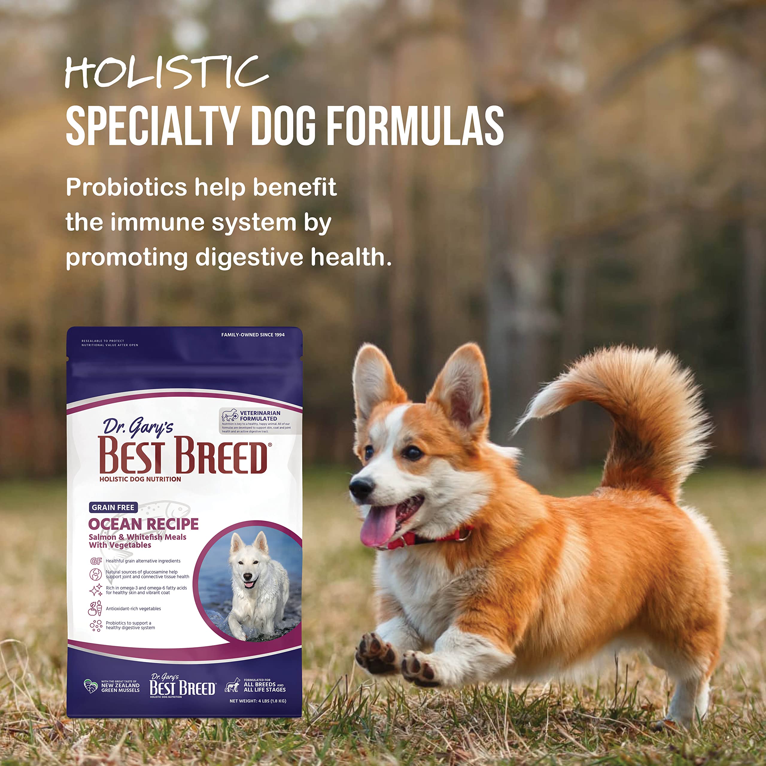 Beautiful view of Raw Grain Free Dog Food For Corgis With Food Sensitivities