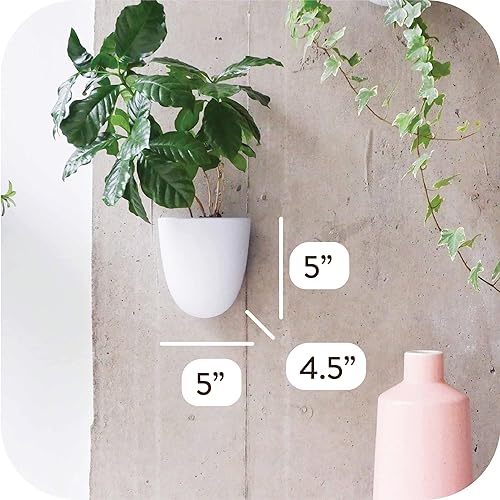 Miniatura 2 de Make Good PlantPod Luxe - Macetas de pared con riego automático (juego de 6) - Fácil de regar e instalar - Ligero - Diseña tu propio jardín vertical