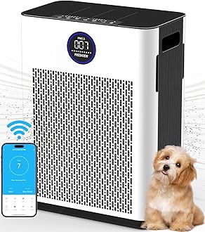 Air Purifiers for Home,FRESHDEW Air Purifiers for Bedroom Up to 170m² With Smart WiFi,Air Quality and Light Sensors,Double-sided Air Inlet,H13 HEPA Fliter for Pet Odor, Dust, Smoke, Wildfire 22dB